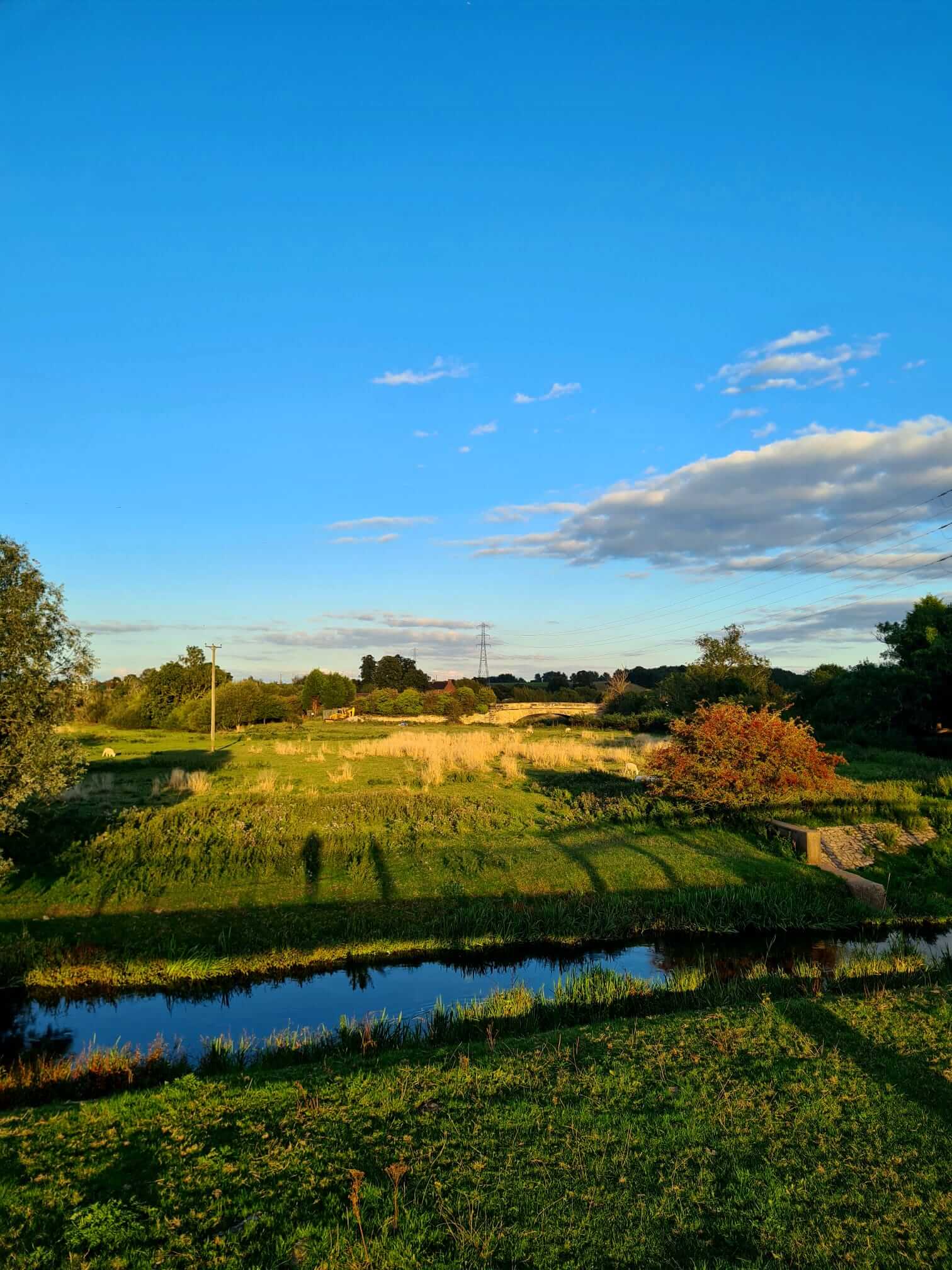 Top 10 Benefits of Upgrading Your Septic System with Our Rivers