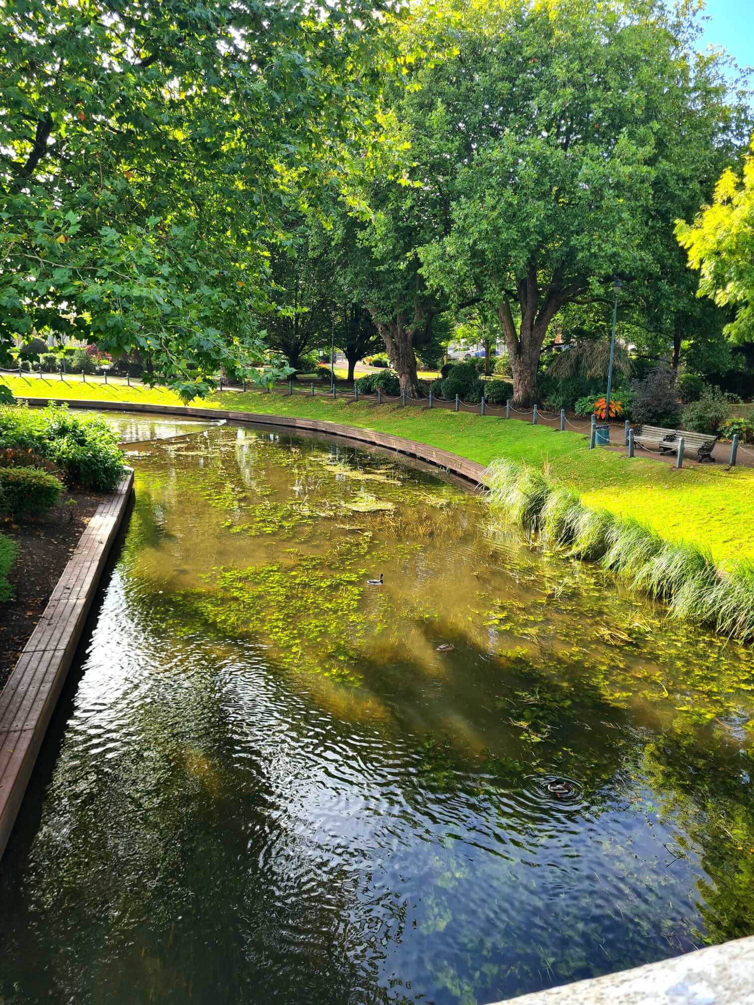 Top 10 Questions Homeowners Ask About Septic Tank Upgrades